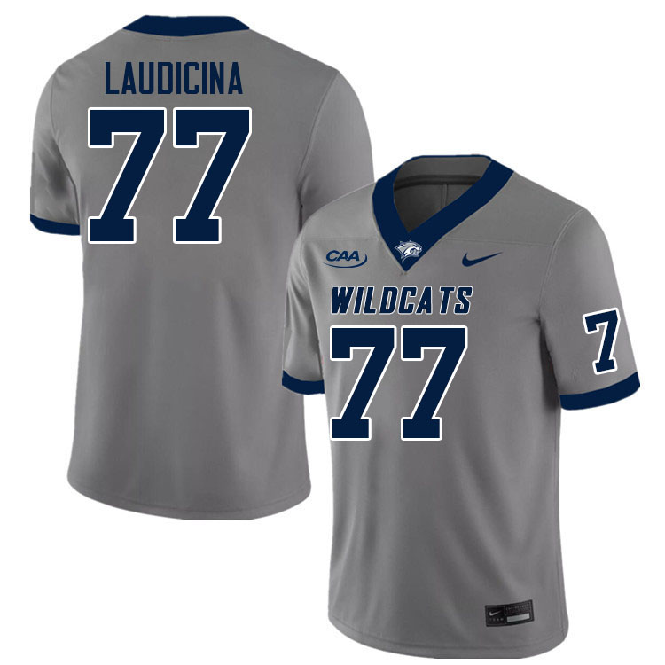 New Hampshire Wildcats #77 Dominick Laudicina College Football Jerseys Stitched Sale-Grey